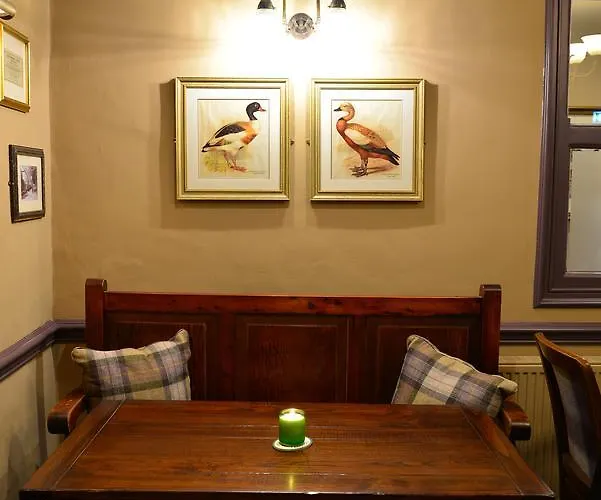 Hotell The Devonshire 3*